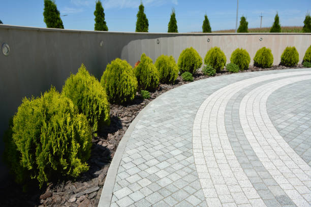 Best Local Driveway Pavers  in La Cresta, CA